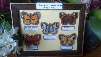Бесплатные схемы для вышивания Бабочки для интернет-магазина У Люсиль